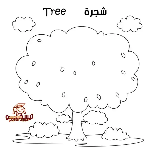 تلوين شجرة للأطفال